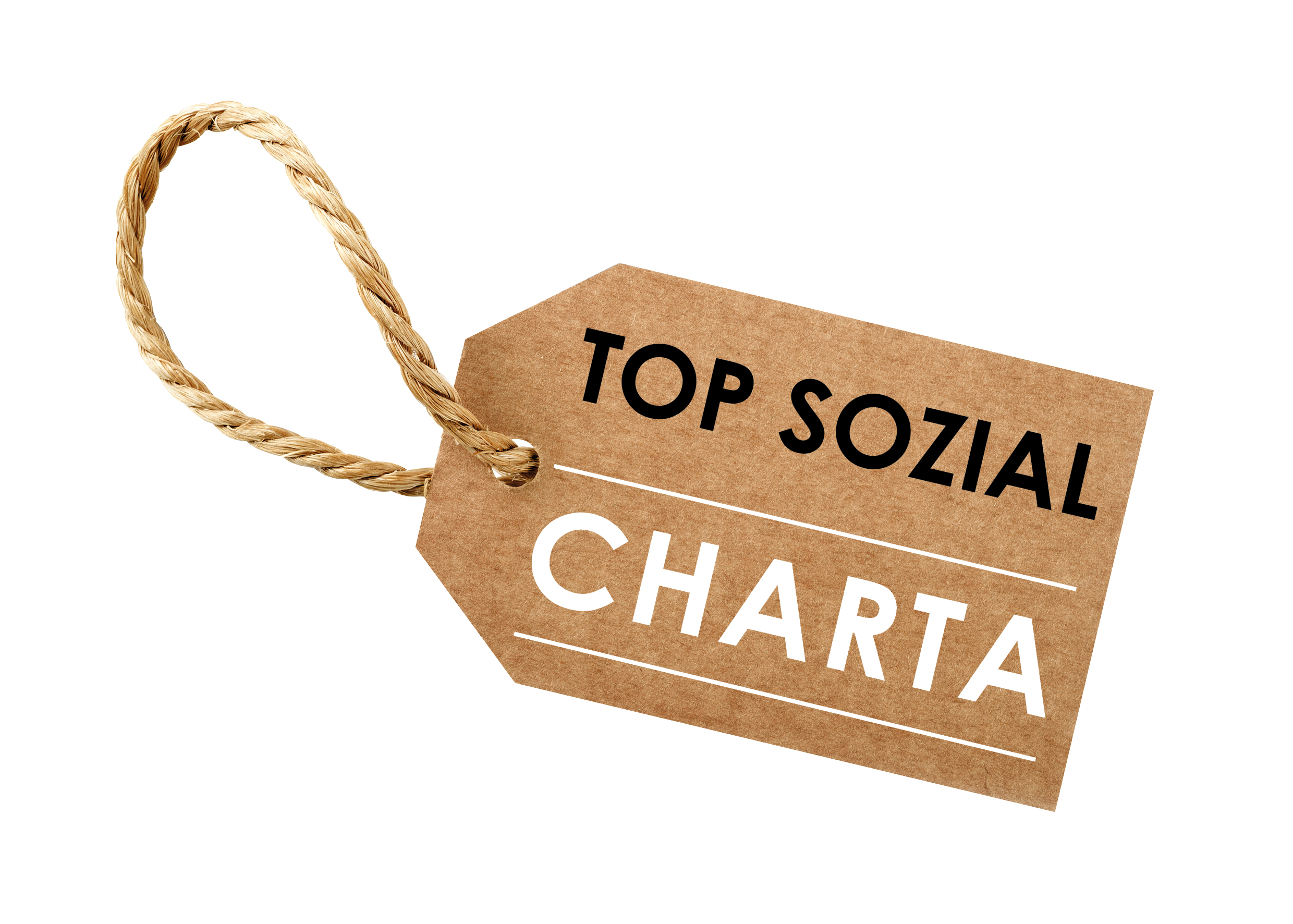 Logo_TopSozial_Charta_oHG_final_201208